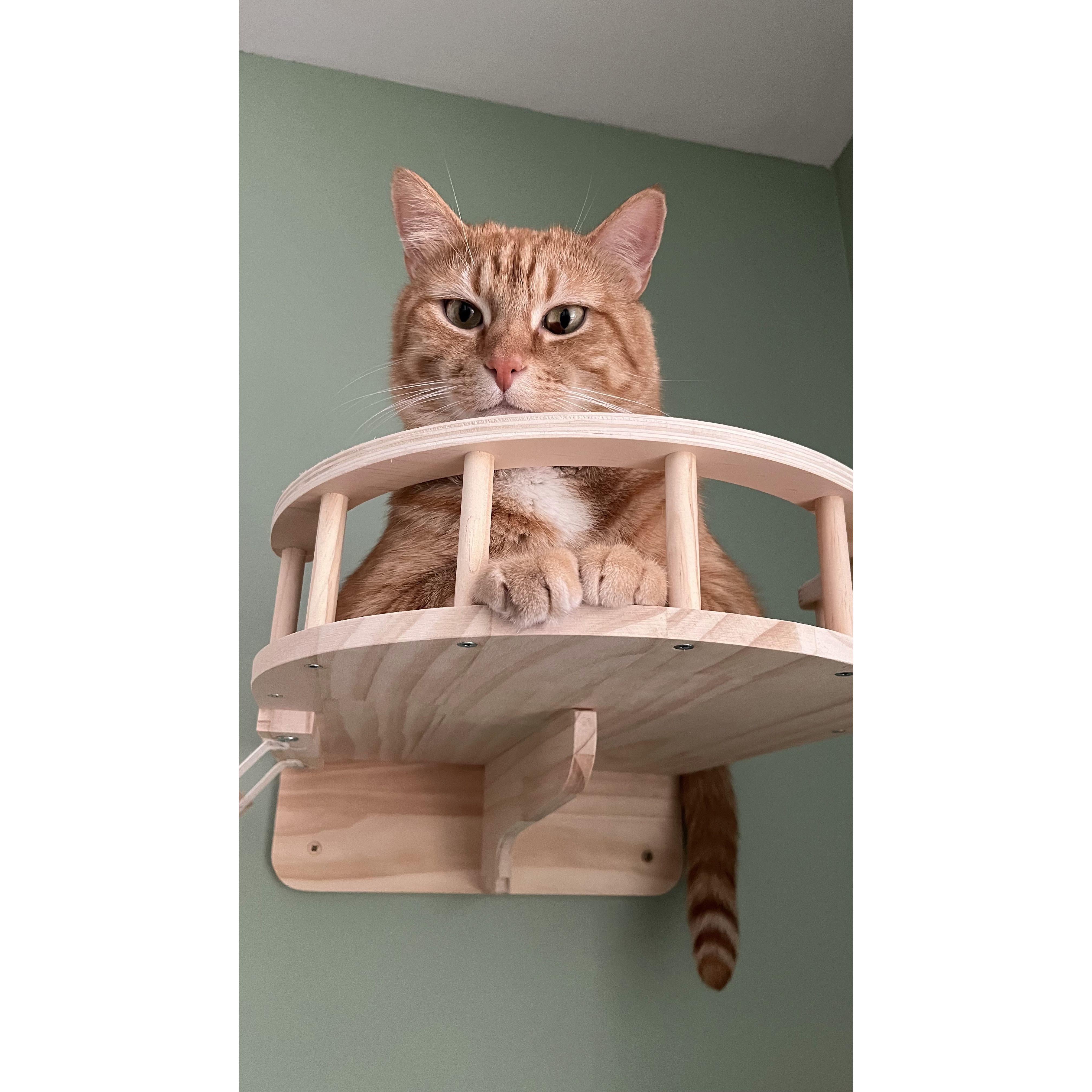 Everything the light touches is our kingdom.