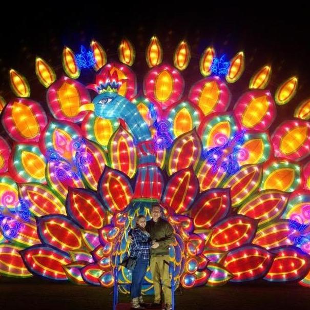 Lunar Light Walk at the Arboretum. December 2019