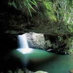 Springbrook National Park - The natural Arch