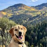 Best Fall Hikes & Views