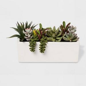 Faux Succulent Plants in White Planter - Project 62™