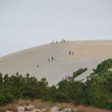Jockey's Ridge State Park