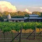 Dry Comal Creek Winery & Vineyards