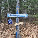 Blueberry Cove Camp