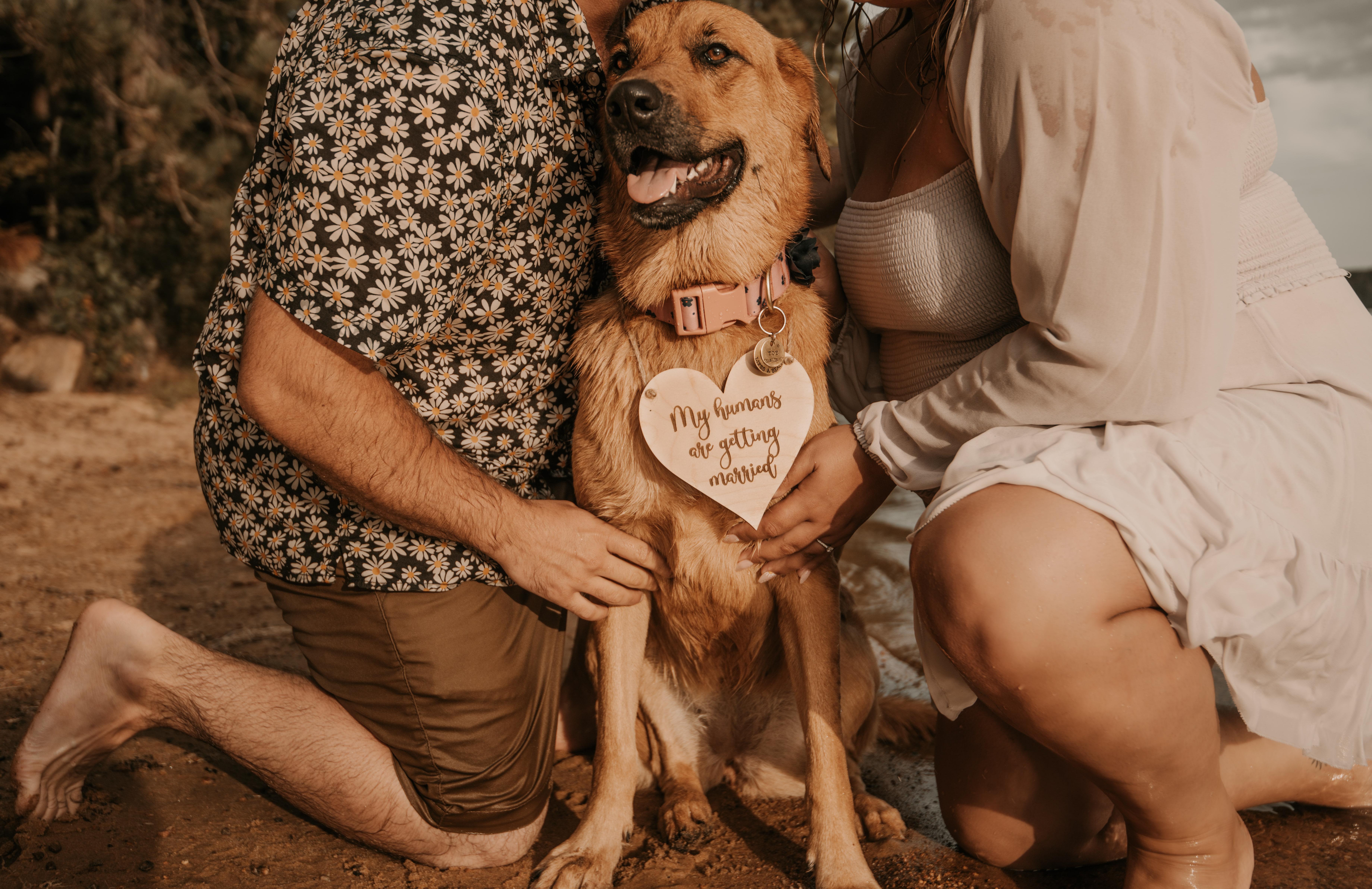 The Wedding Website of Natasha Murareanu and Timothy Watson