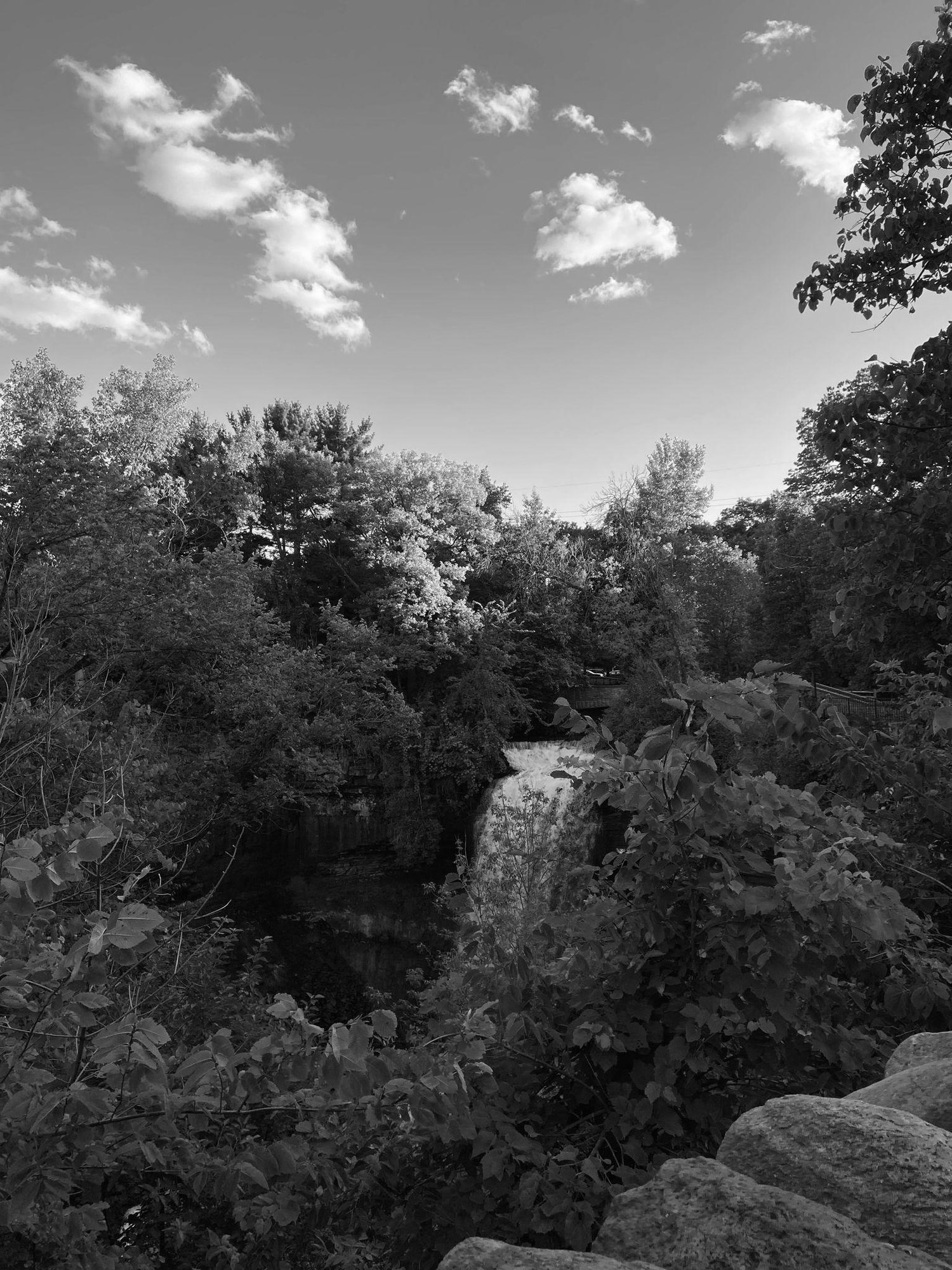 The Wedding Website of Madison Nelson and Mark Amick
