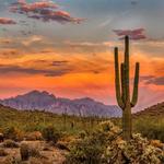 Various Beautiful Hiking Spots