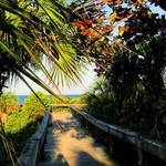 Cocoa Beach