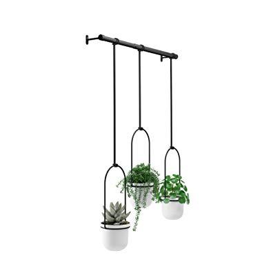 Umbra, White/Black Triflora Hanging Planter for Window, Indoor Herb Garden