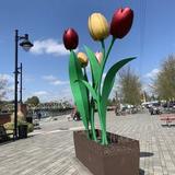 Skagit River Park