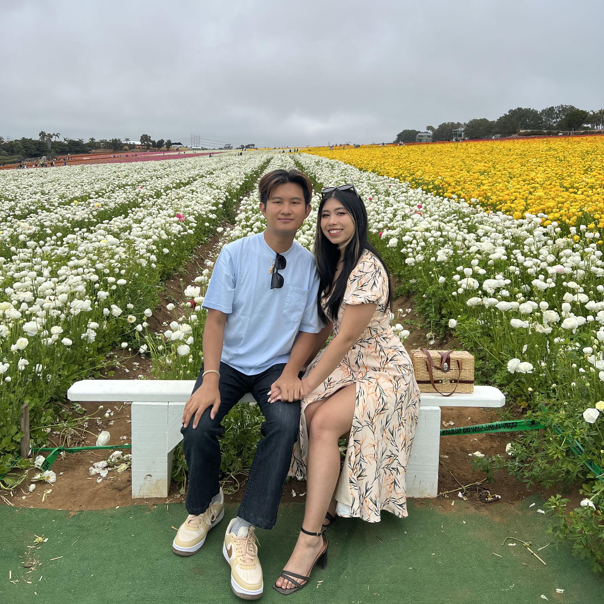 Carlsbad Flower Fields 2023