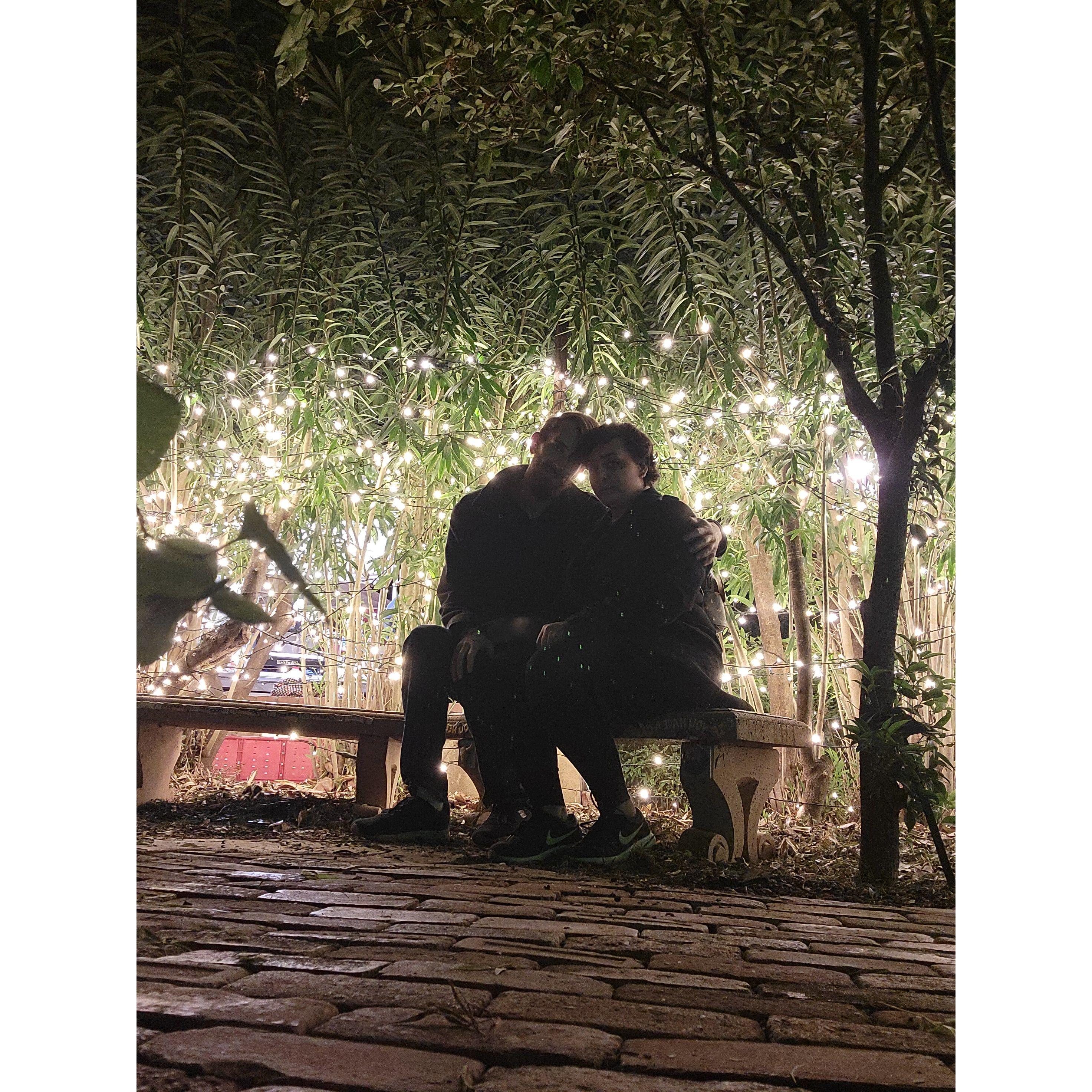 we like pretty lights