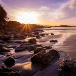 Tofino