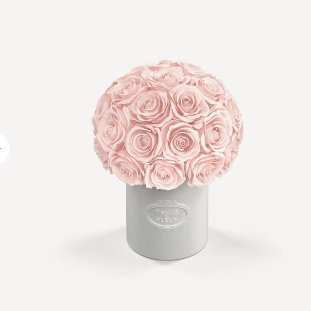 Fleura Porcelain Vase - Color Blush