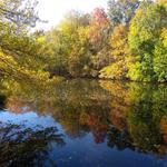 Prospect Park