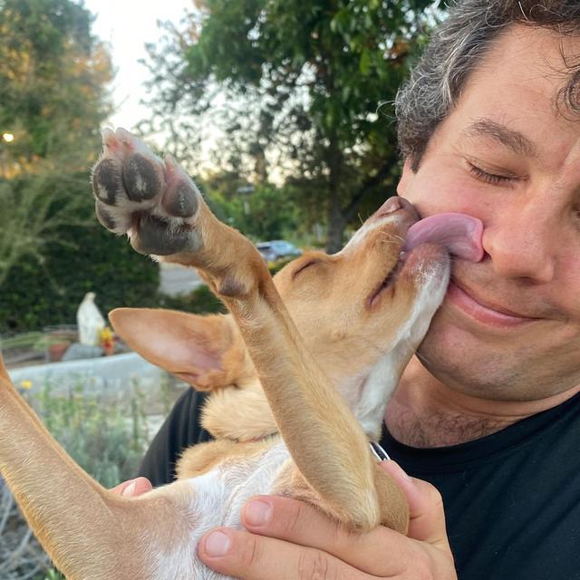 Puppy kisses
