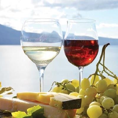 Wine Tasting in Greece