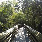 DeSoto National Memorial Park