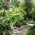 UCLA Mildred E. Mathias Botanical Garden