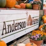 Anderson Farms