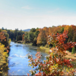 North Country Trail/Manistee River Trail