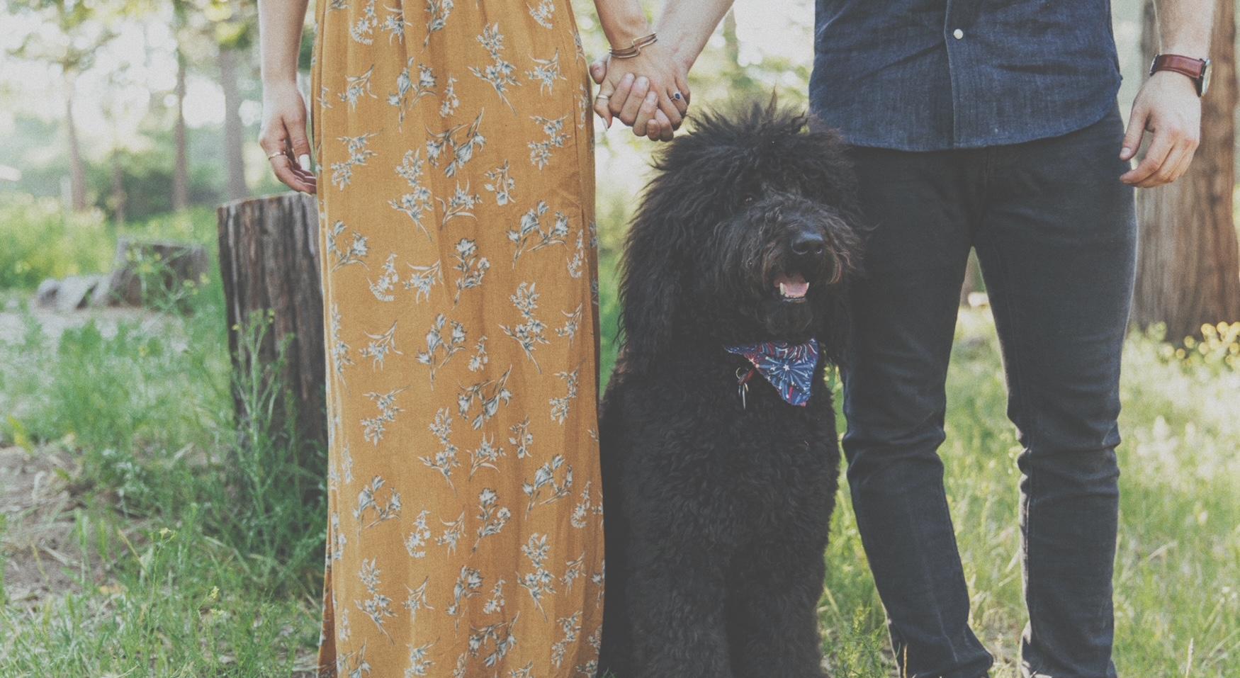 Footer image