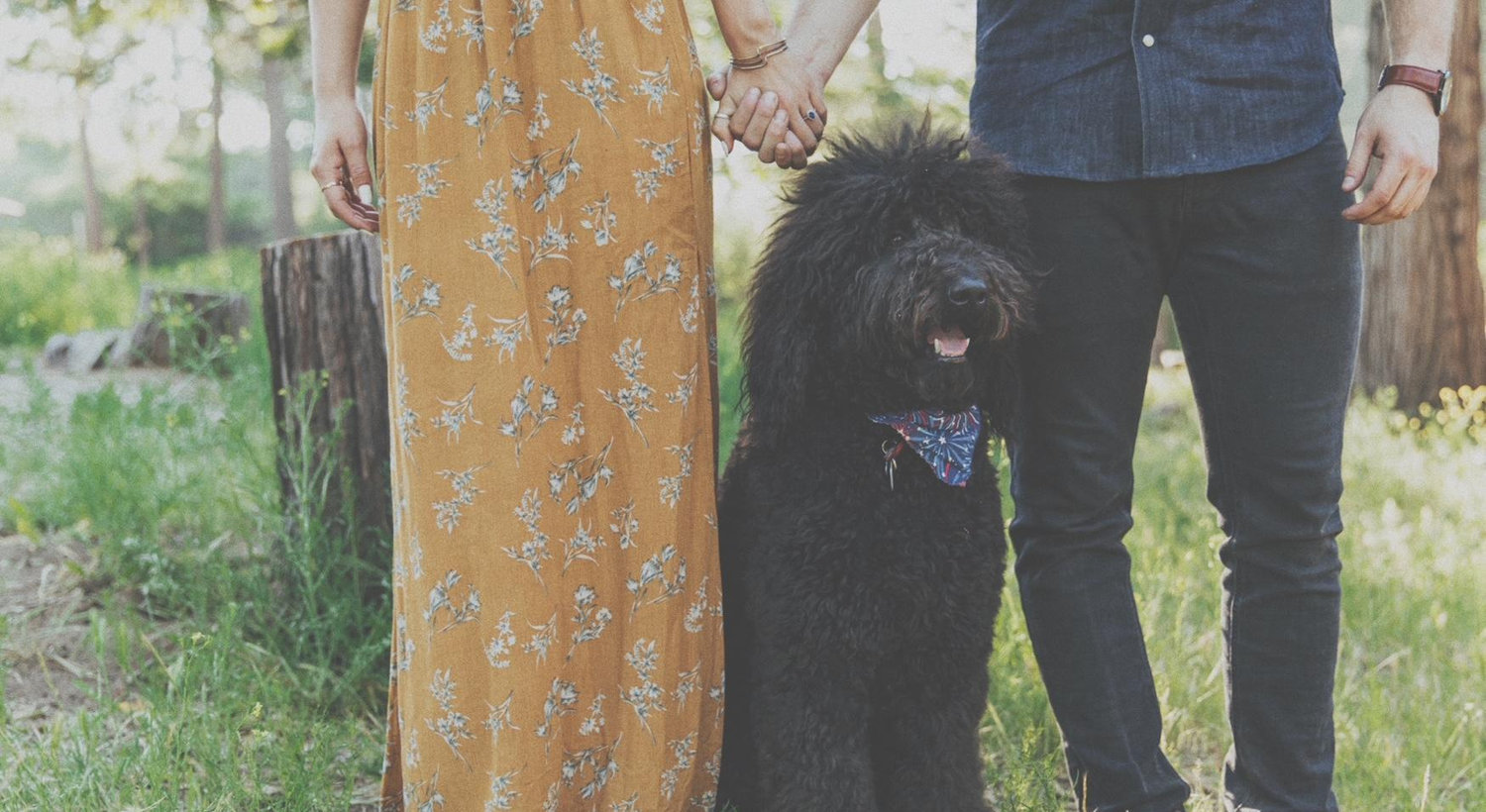Footer image