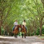 HORSEBACK RIDING