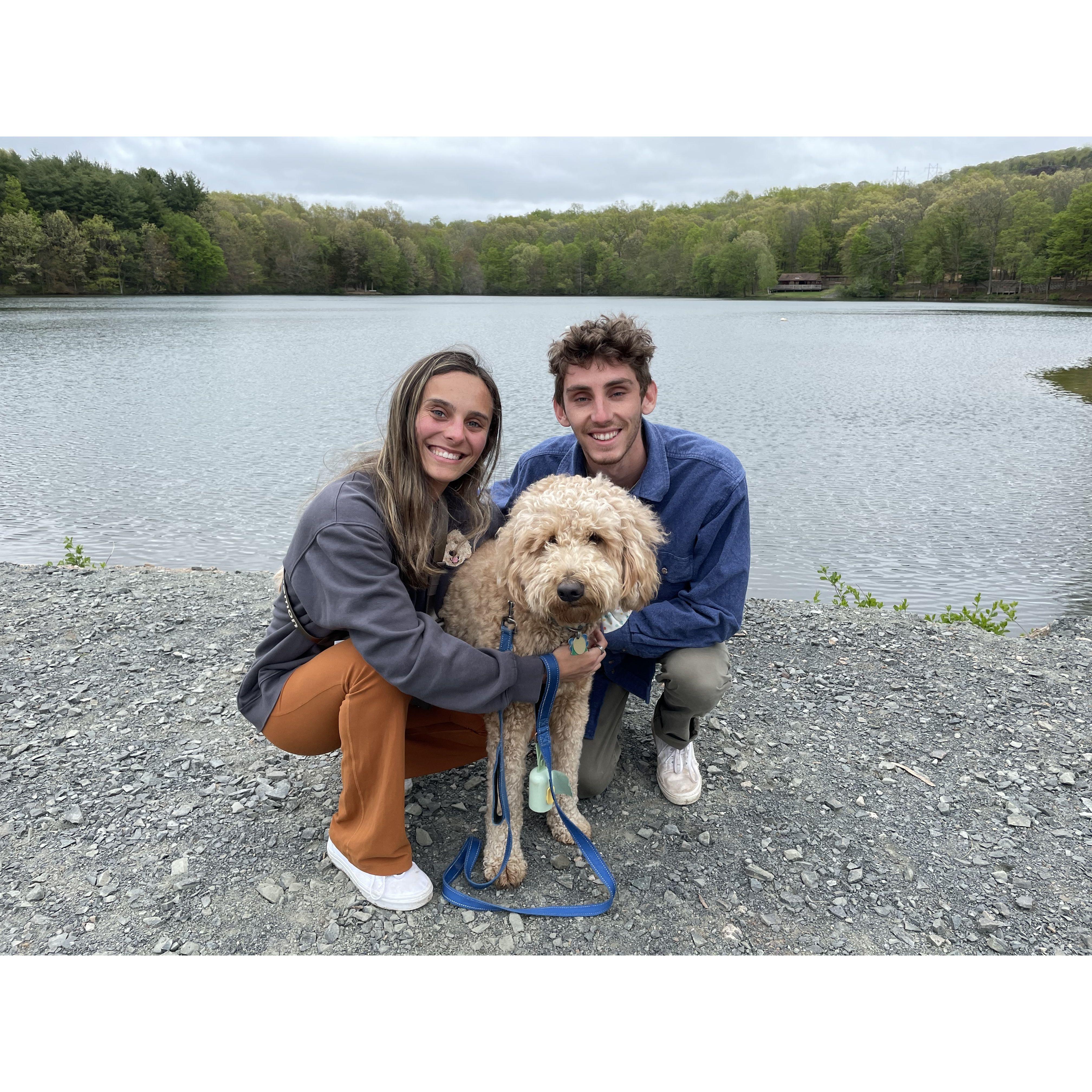 Another puppy walk