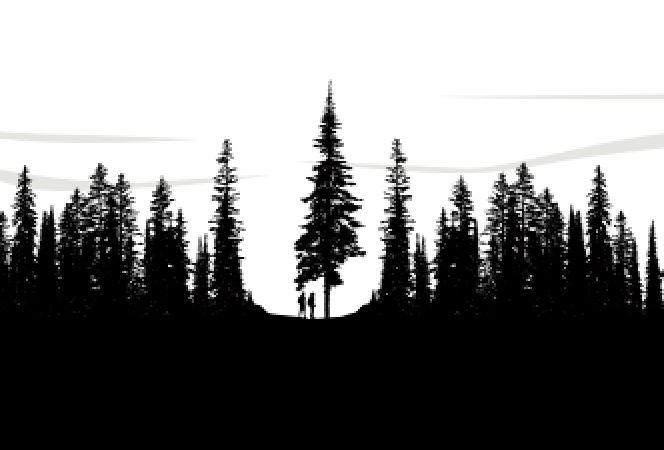 e2069f4e-d7bc-4b9d-ac50-678c52e7131a