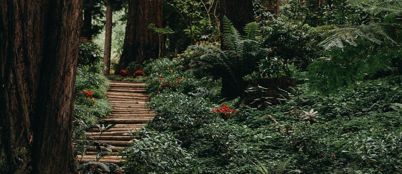 The Wedding Website of Chloe Tincher and Emma Koss