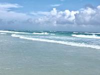 Henderson Beach State Park