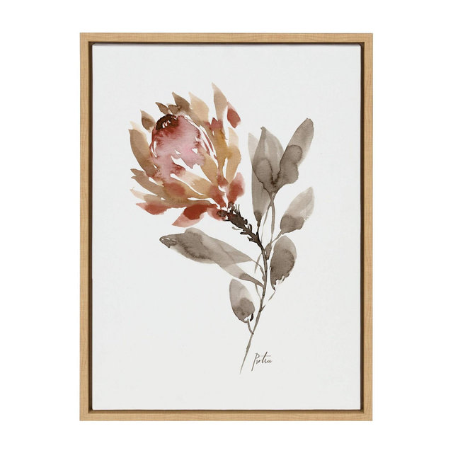 18" x 24" Sylvie Wild King Protea by Sara Berrenson Framed Wall Canvas Natural - Kate & Laurel All Things Decor