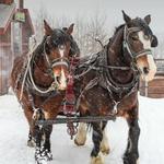 SLEIGH RIDE and DINNER