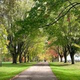 Knox Farm State Park