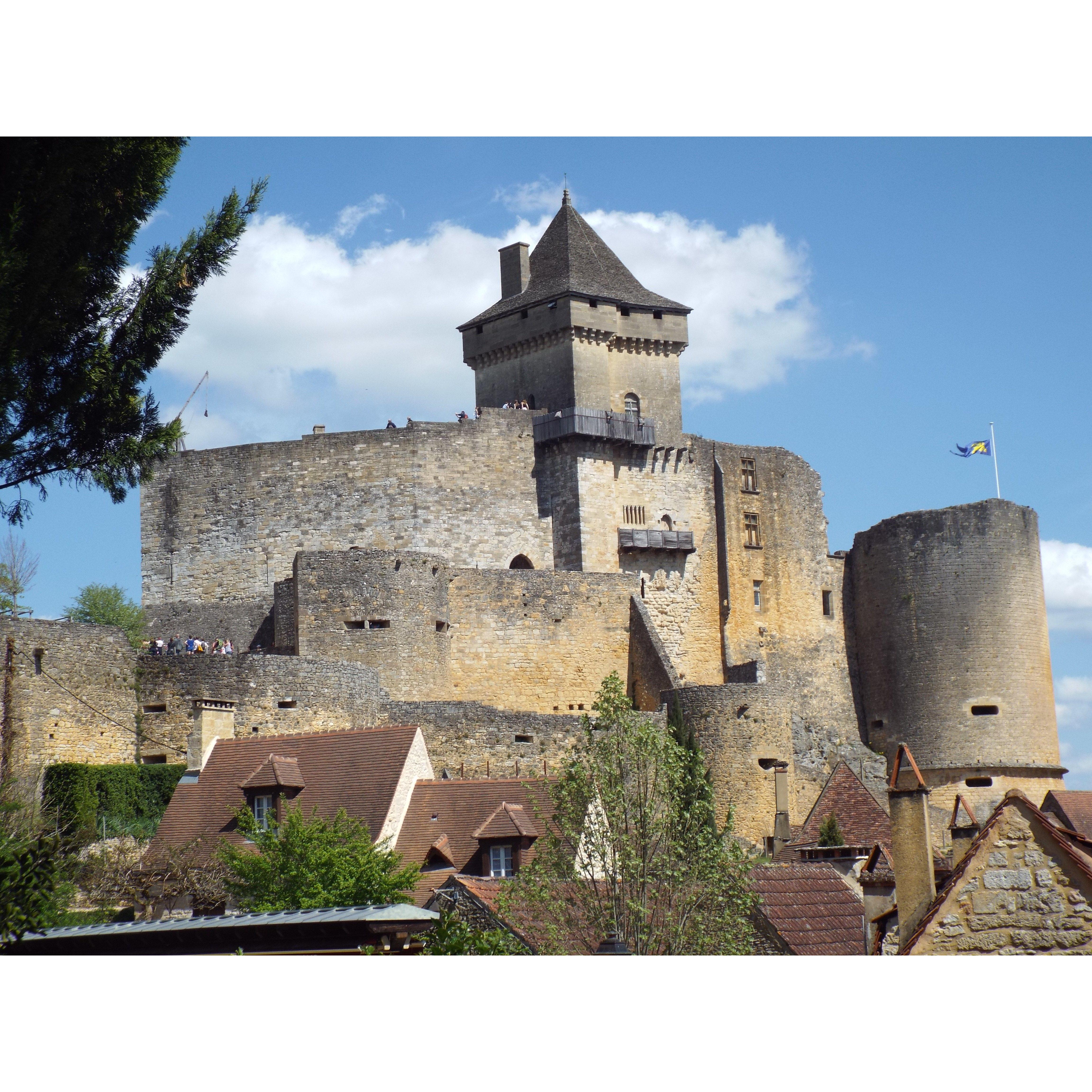 Castle De Baynac - Where proposal took place!!