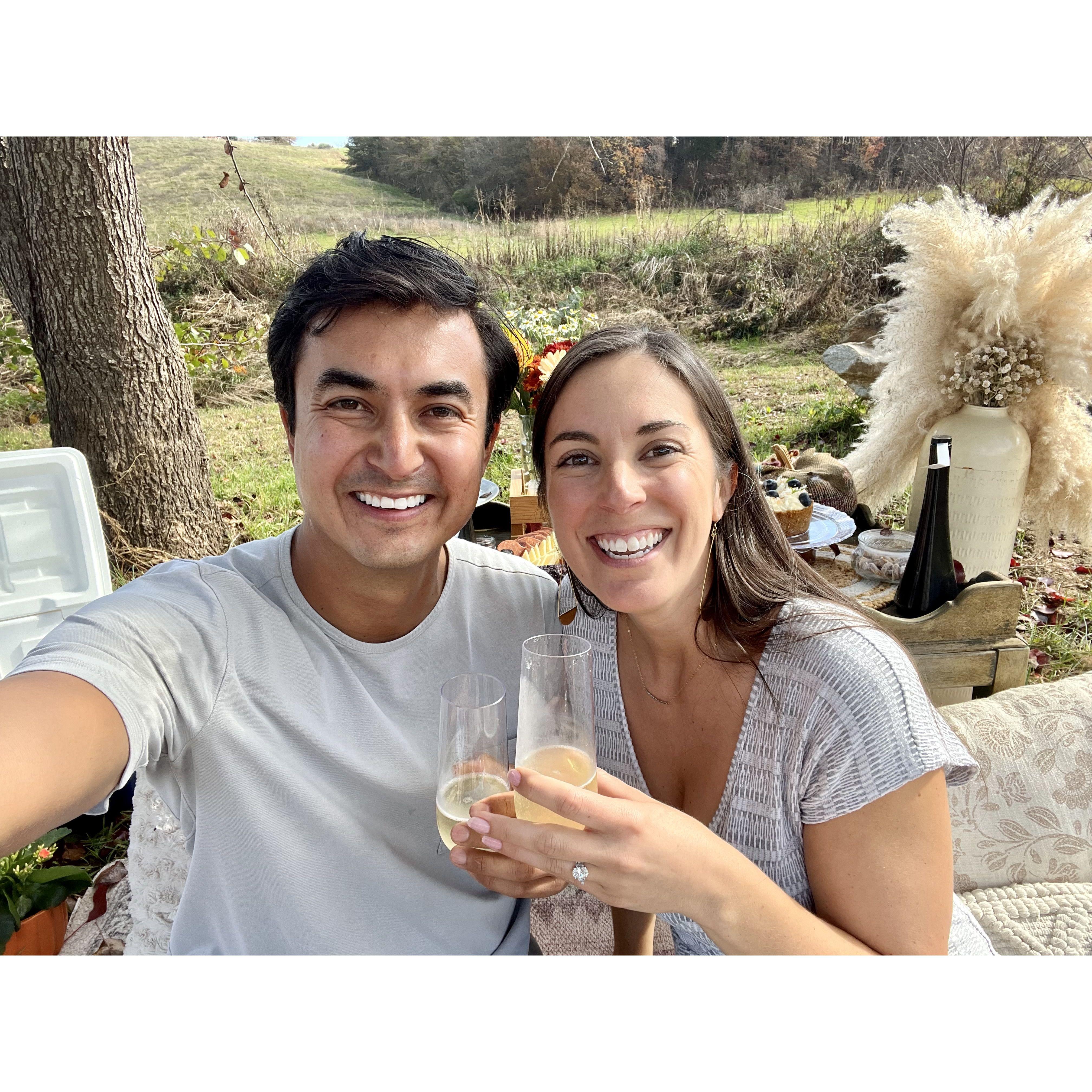 The most perfect proposal at a beautiful rescue farm!