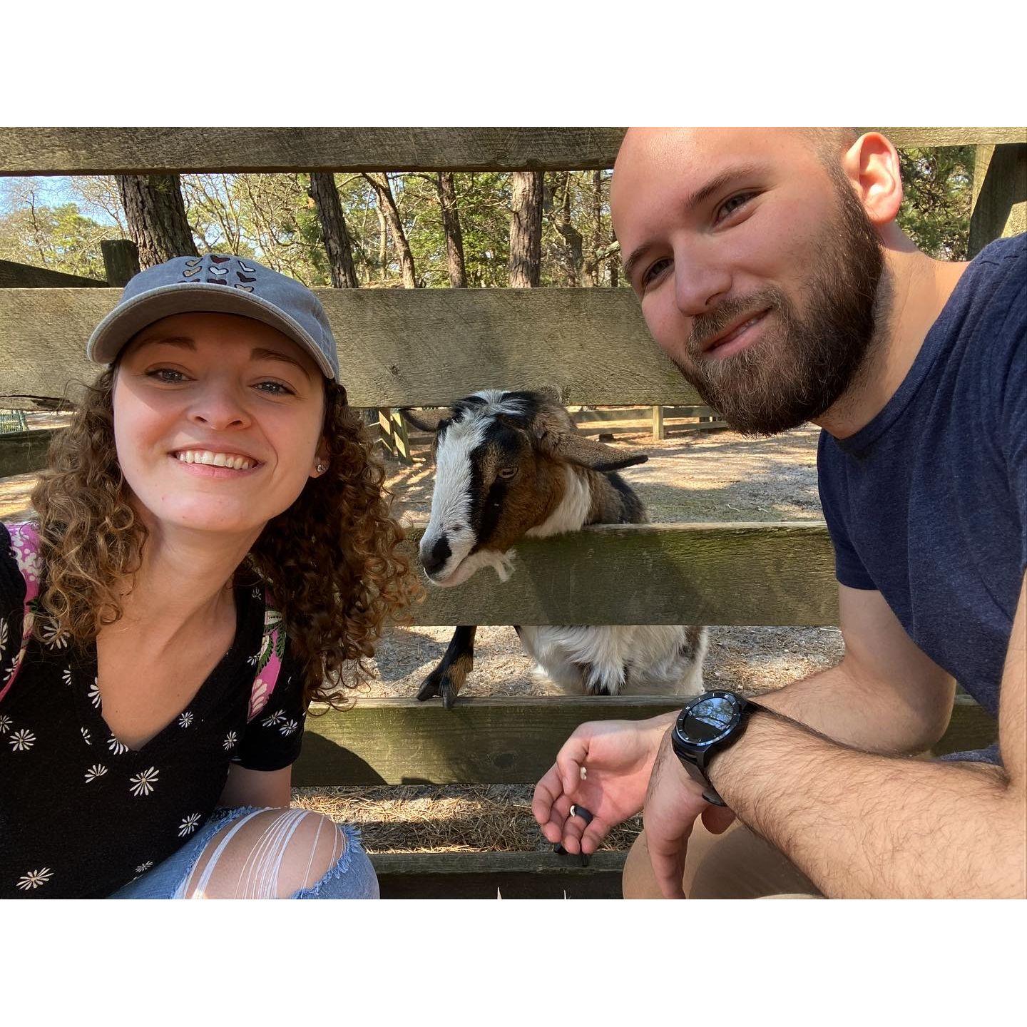 Amanda's birthday at the Popcorn Zoo