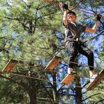 Flagstaff Extreme Adventure Course