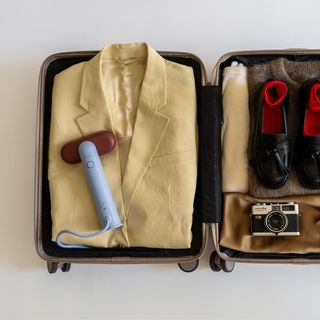 Cirrus Lite Travel Steamer