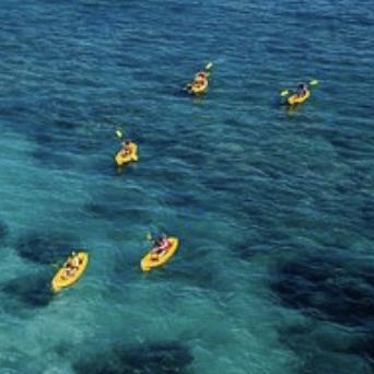 Group Kayaking Adventure