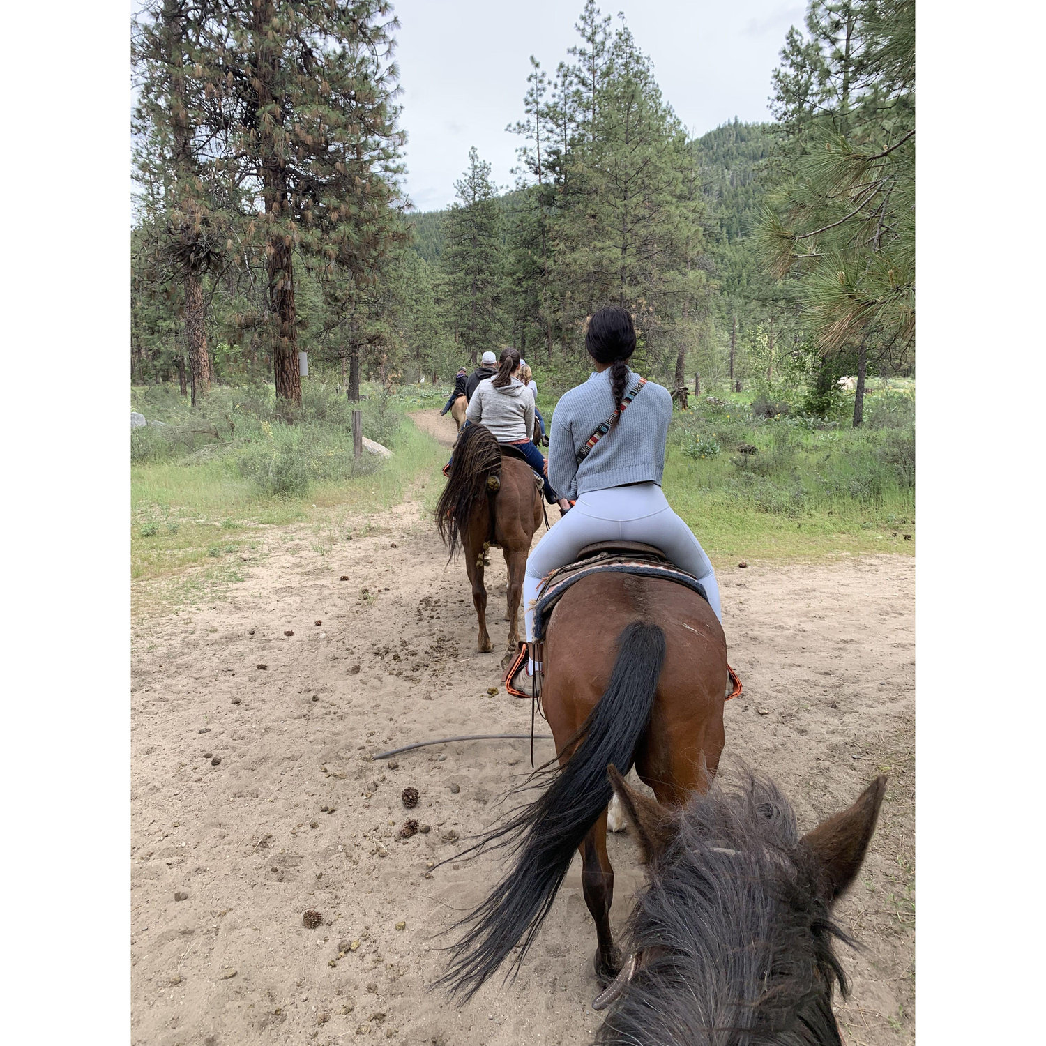 Horseback riding in Leavenworth, WA