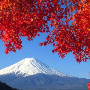 Japan Honeymoon Fund