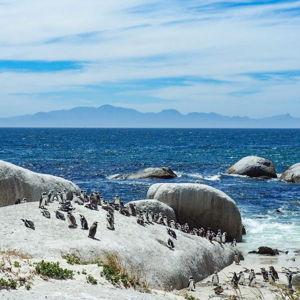 Cape of Good Hope Day Tour
