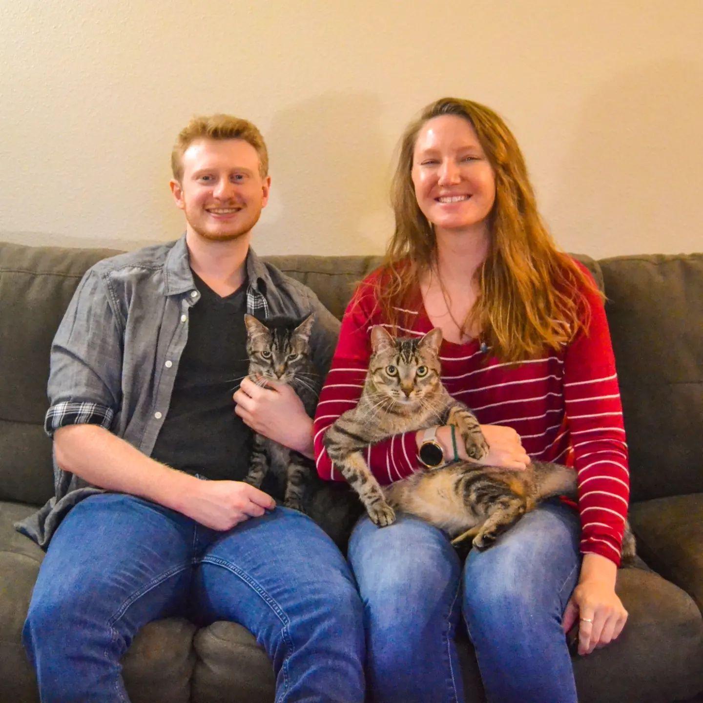 Trying to take family photos with cats... not easy