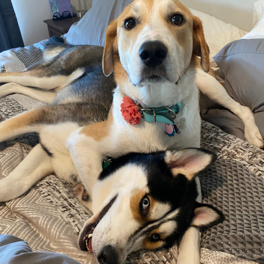 Became a family of 4.