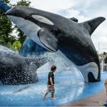 Omaha's Henry Doorly Zoo and Aquarium