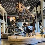 The Academy of Natural Sciences of Drexel University