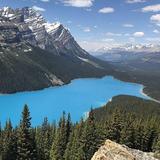 Taking it Easy: Peyto Lake