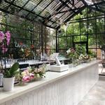 Secret Garden Bar (SOHO Garden HTX)